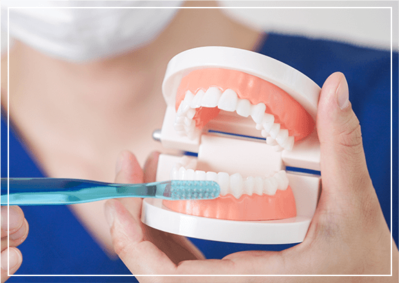 治療と予防、歯の健康にＷでアプローチ